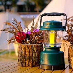 Coleman Camping Lantern Battery Powered With REMOTE Nite Light